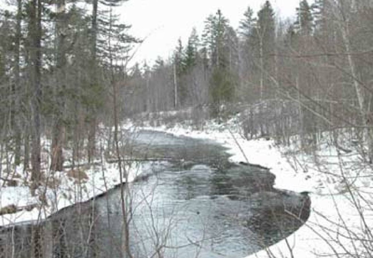 House in Nordmarkshyttan - Quiet, close to nature accommodation in Värmland