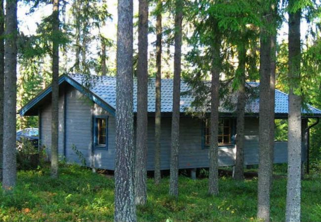 House in Tavelsjö - Beautiful holiday home in the countryside between fir trees and blueberry bushes