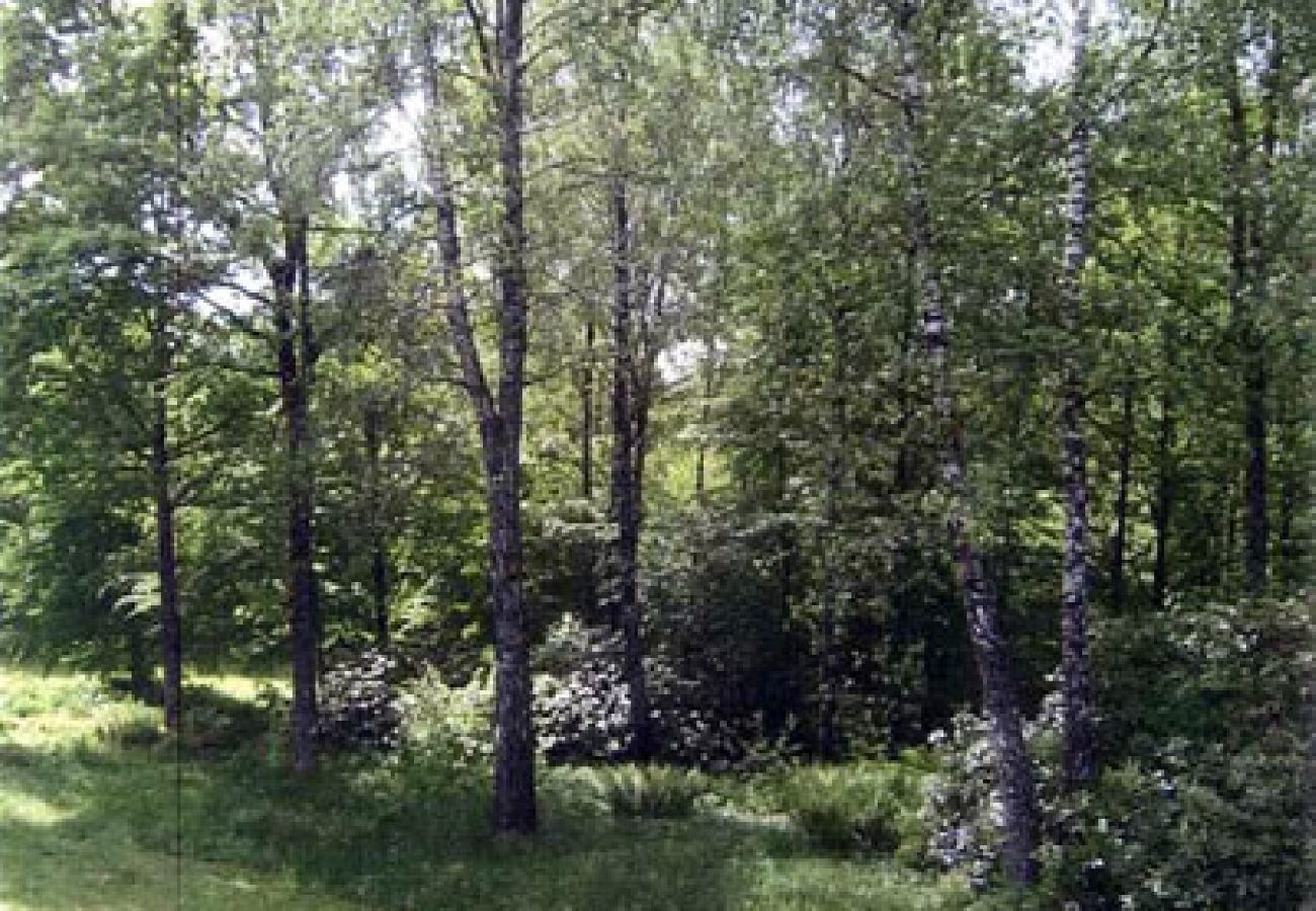 House in Tvärred - Cottage quiet and peaceful in the forest