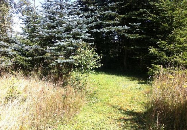 House in Brösarp - Bertilstorp Stugor House in Brösarp - Bertilstorp Stugor