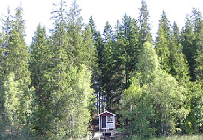 House in Vissefjärda - Grandma's cottage not far from the lake