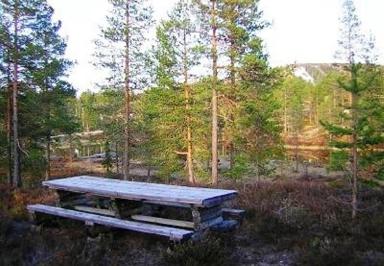 House in Sälen - Tandåbyn 4B