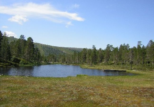 House in Sälen - Nice furnished holiday home for skiing or hiking holidays House in Sälen - Nice furnished holiday home for skiing or hiking holidays