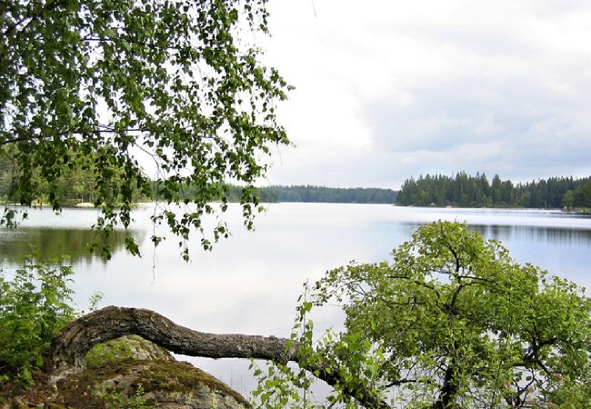 House in Älmeboda - Typical red and white holiday home surrounded by forest and lake