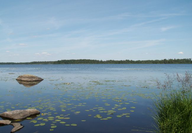 House in Väckelsång - Large comfortable holiday home with private pool, motorboat and lake view  House in Väckelsång - Large comfortable holiday home with private pool, motorboat and lake view