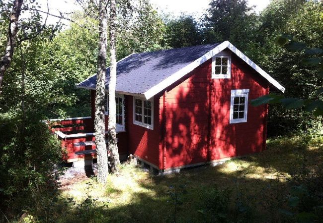 House in Åsljunga - Åsljunga Skogen