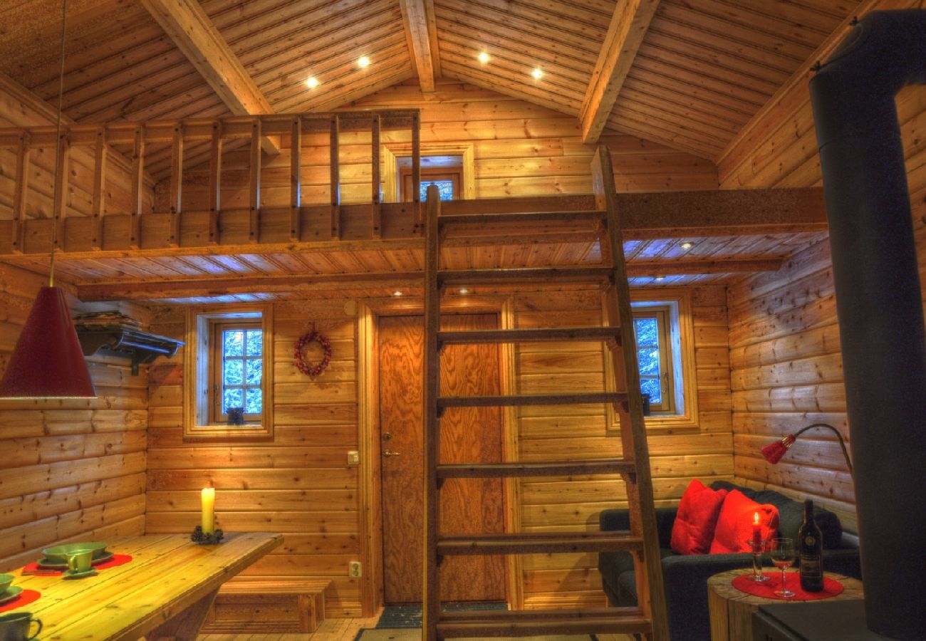 House in Sorsele - Adventure and relaxation in the enchanting nature of Lapland!