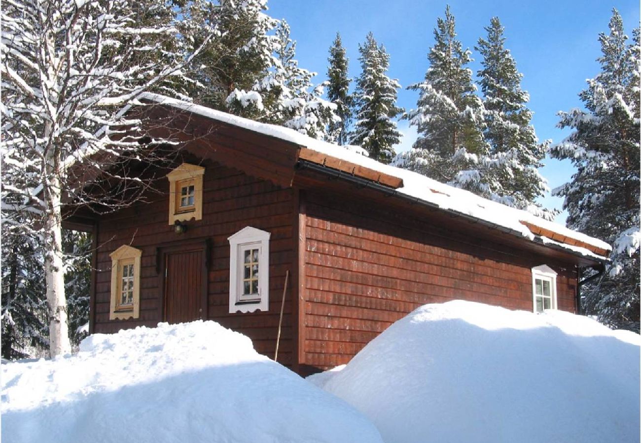 House in Sorsele - Adventure and relaxation in the enchanting nature of Lapland!