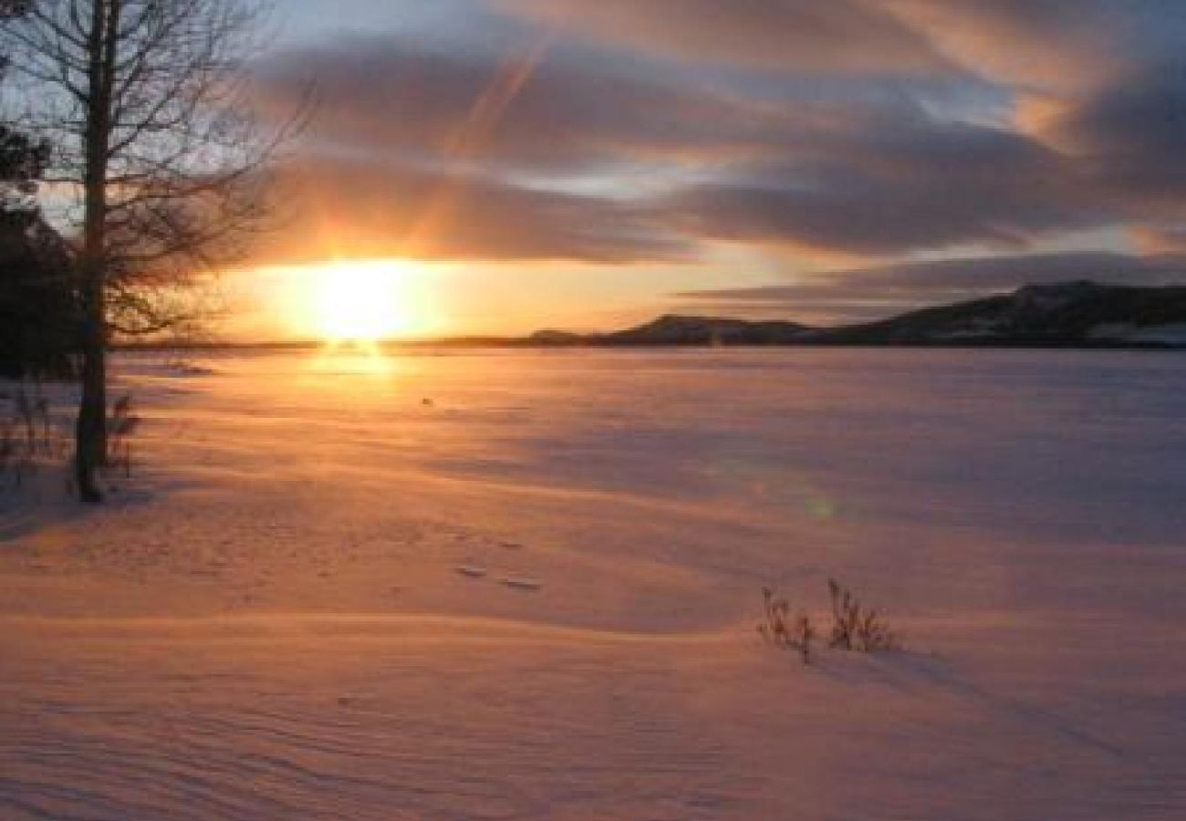 House in Sorsele - Adventure and relaxation in the enchanting nature of Lapland!
