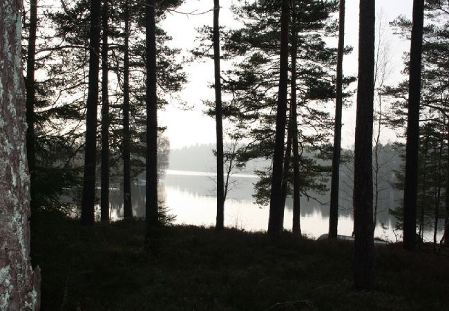 House in Eksjö - Holiday home with a view of the lake