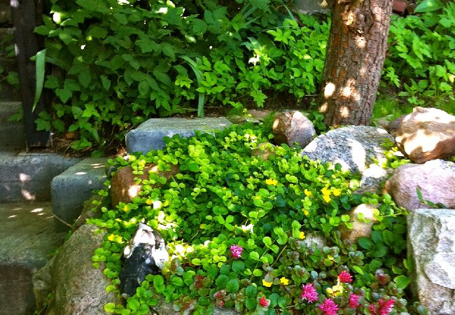 House in Glumslöv - Fiskarhuset House in Glumslöv - Fiskarhuset