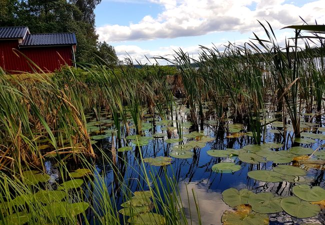 House in Klavreström - Beautiful holiday home in Klavreström House in Klavreström - Beautiful holiday home in Klavreström