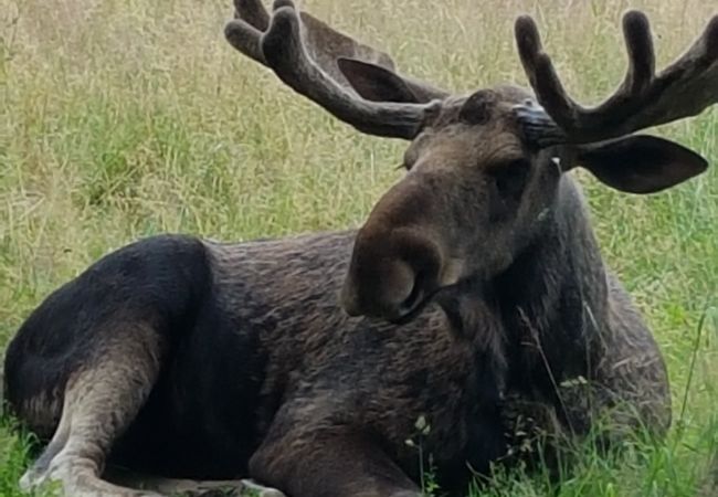 House in Klavreström - Beautiful holiday home in Klavreström House in Klavreström - Beautiful holiday home in Klavreström