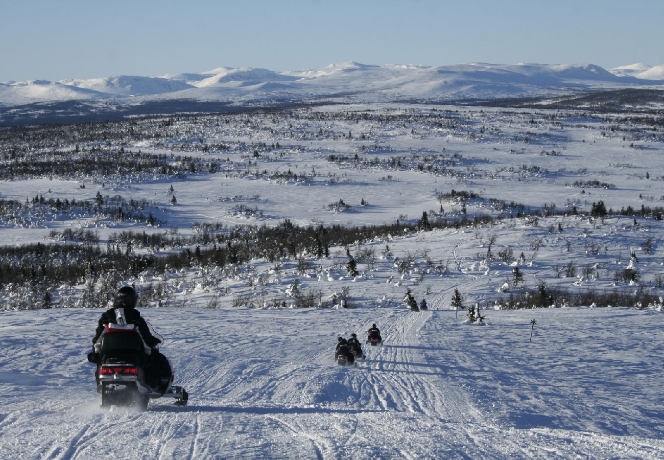 House in Föllinge - Holiday on a husky farm in the wilderness of Jämtland