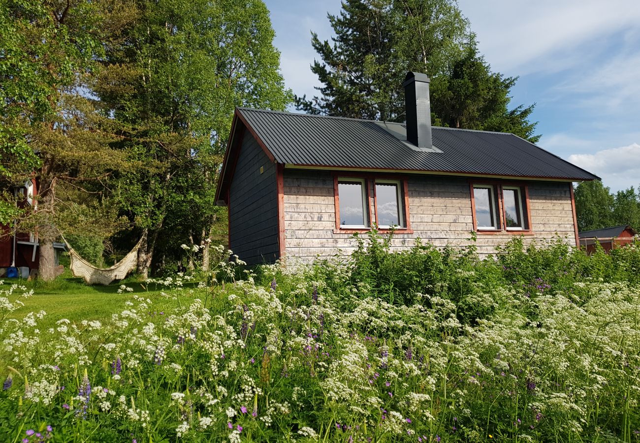 House in Föllinge - Holiday on a husky farm in the wilderness of Jämtland