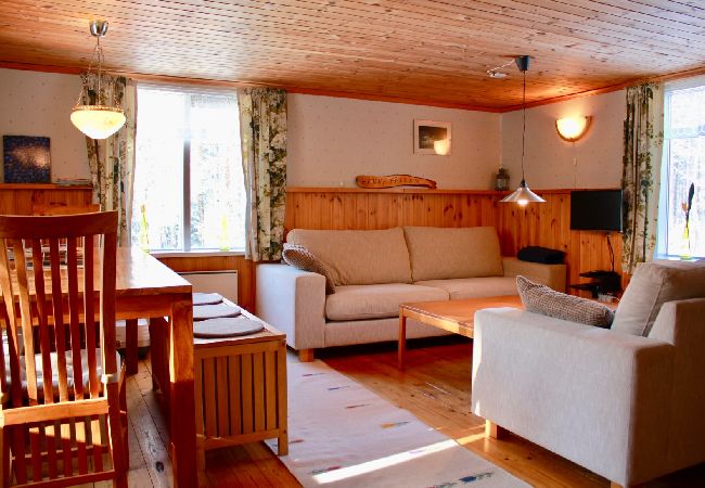 House in Sävsjöström - Holiday in a secluded location in the middle of the forest with sauna and canoe