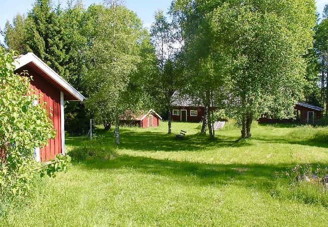 House in Sävsjöström - Holiday in a secluded location in the middle of the forest with sauna and canoe