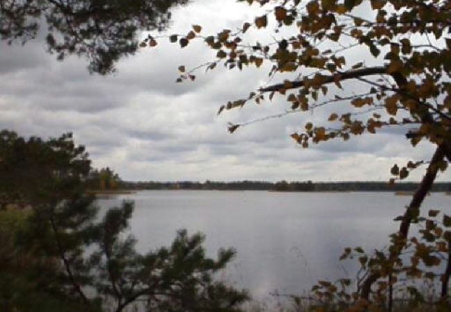 House in Ruda - Nice holiday home on the edge of the forest near Högsby House in Ruda - Nice holiday home on the edge of the forest near Högsby