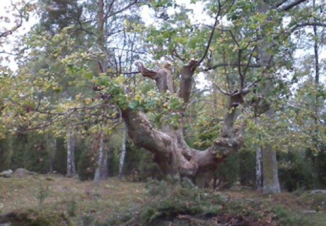 House in Ruda - Nice holiday home on the edge of the forest near Högsby