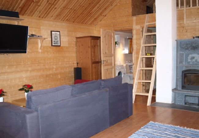 House in Oskarshamn - Cottage vacation where the moose are at home