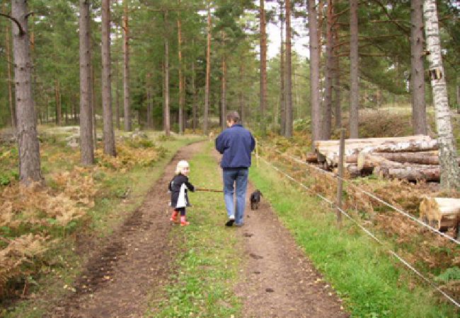 House in Oskarshamn - Cottage vacation where the moose are at home House in Oskarshamn - Cottage vacation where the moose are at home