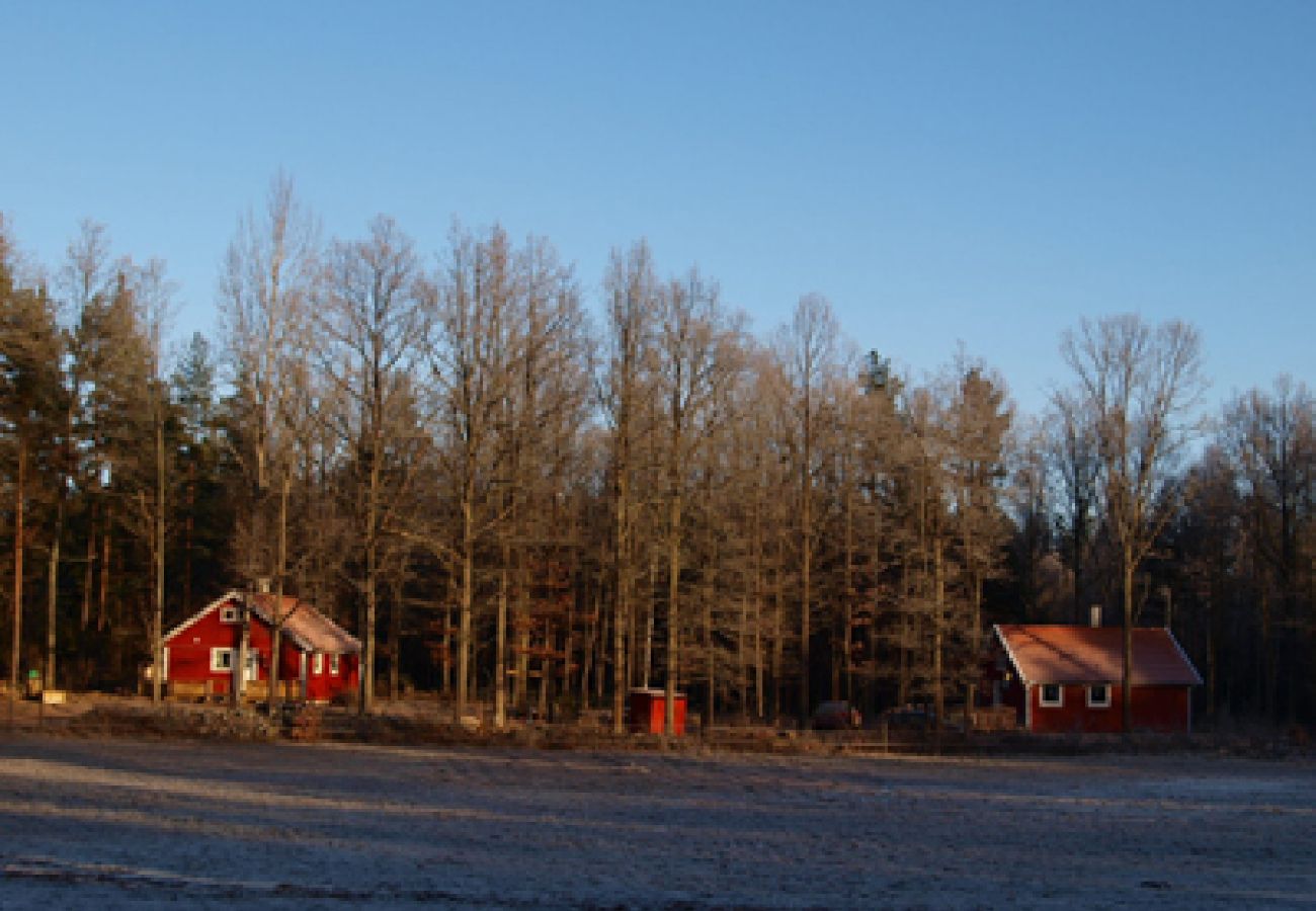 House in Oskarshamn - Cottage vacation where the moose are at home