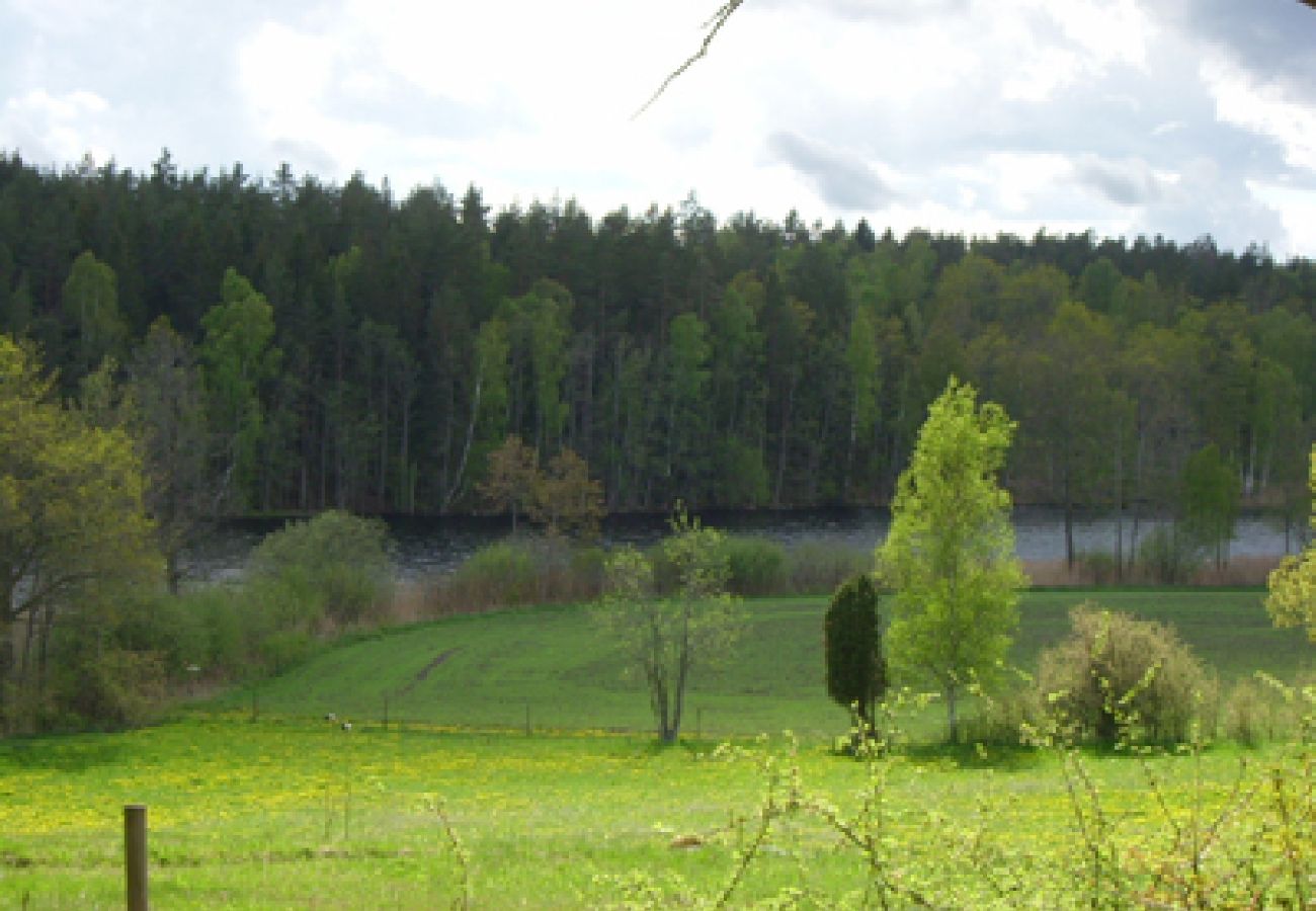 House in Oskarshamn - Cottage vacation where the moose are at home