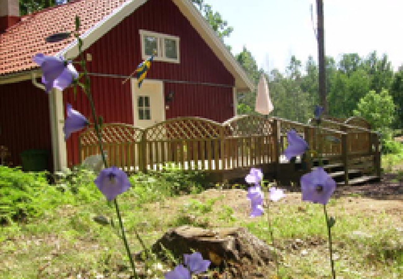 House in Oskarshamn - Cottage vacation where the moose are at home