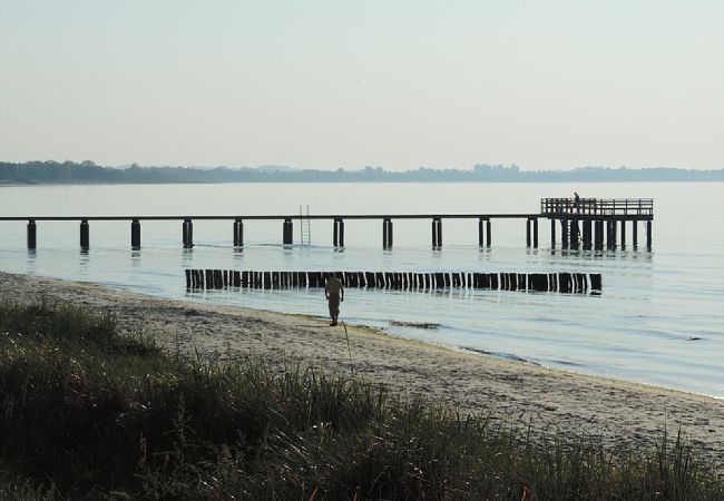  in Beddingestrand - Holiday apartment by the sea in Beddingestrand