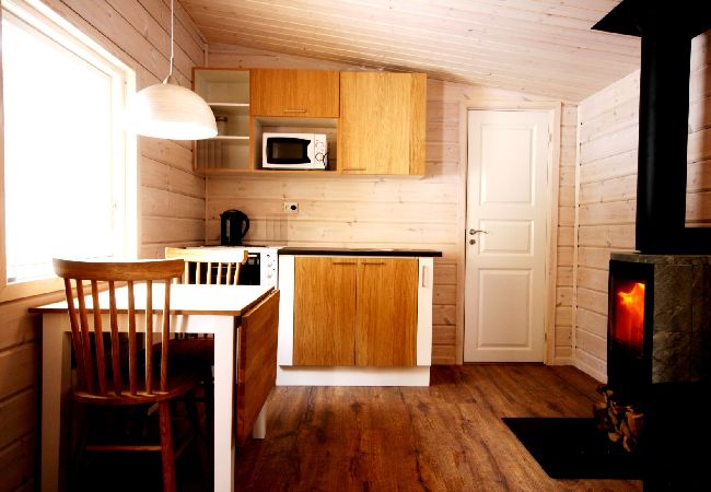 House in Kiruna - Torne river suite