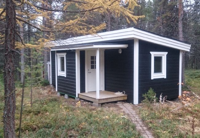 House in Kiruna - Torne river suite