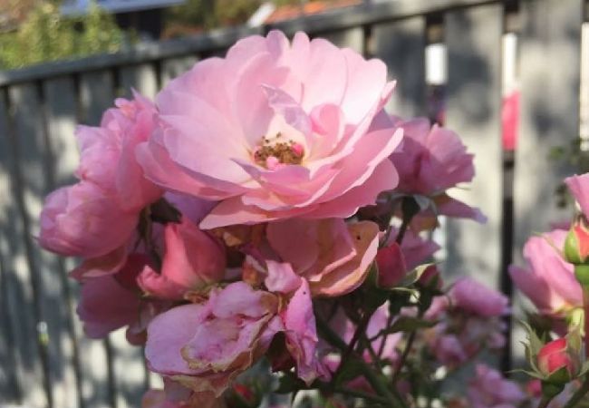 House in Kode - Combine a relaxing holiday on the west coast with a discovery holiday in Gothenburg House in Kode - Combine a relaxing holiday on the west coast with a discovery holiday in Gothenburg