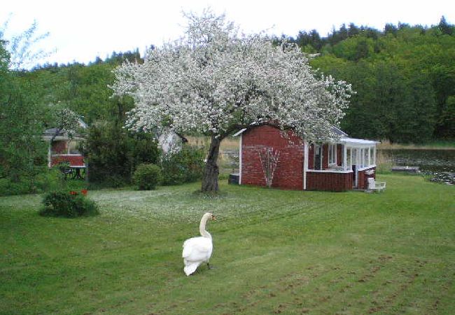  in Gamleby - Smålandsstuga