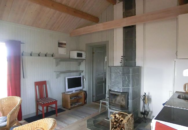 House in Storå - Completely renovated cottage at the lake