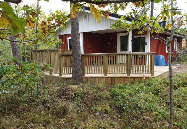 House in Figeholm - Holiday home in a summer idyll just 400 meters from the Baltic Sea House in Figeholm - Holiday home in a summer idyll just 400 meters from the Baltic Sea