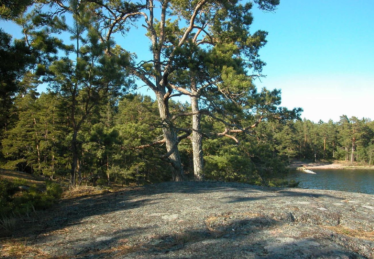 House in Figeholm - Holiday home in a summer idyll just 400 meters from the Baltic Sea
