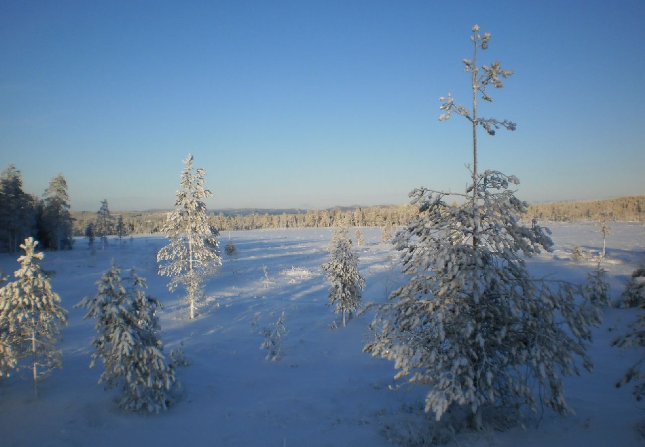 House in Likenäs - Holiday home not far from Klarälven and Branäs ski resort