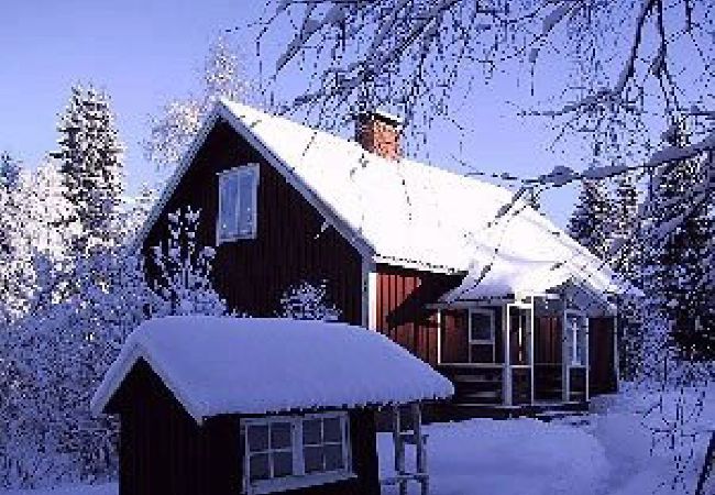 House in Hagfors - Holiday accommodation in the middle of the forest in an absolutely secluded location