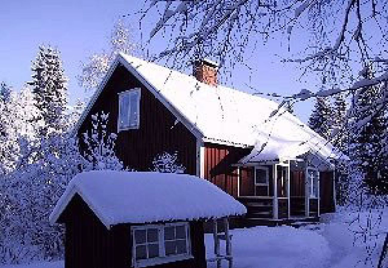 House in Hagfors - Holiday accommodation in the middle of the forest in an absolutely secluded location