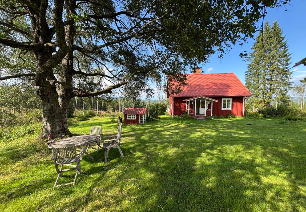 House in Hagfors - Holiday accommodation in the middle of the forest in an absolutely secluded location