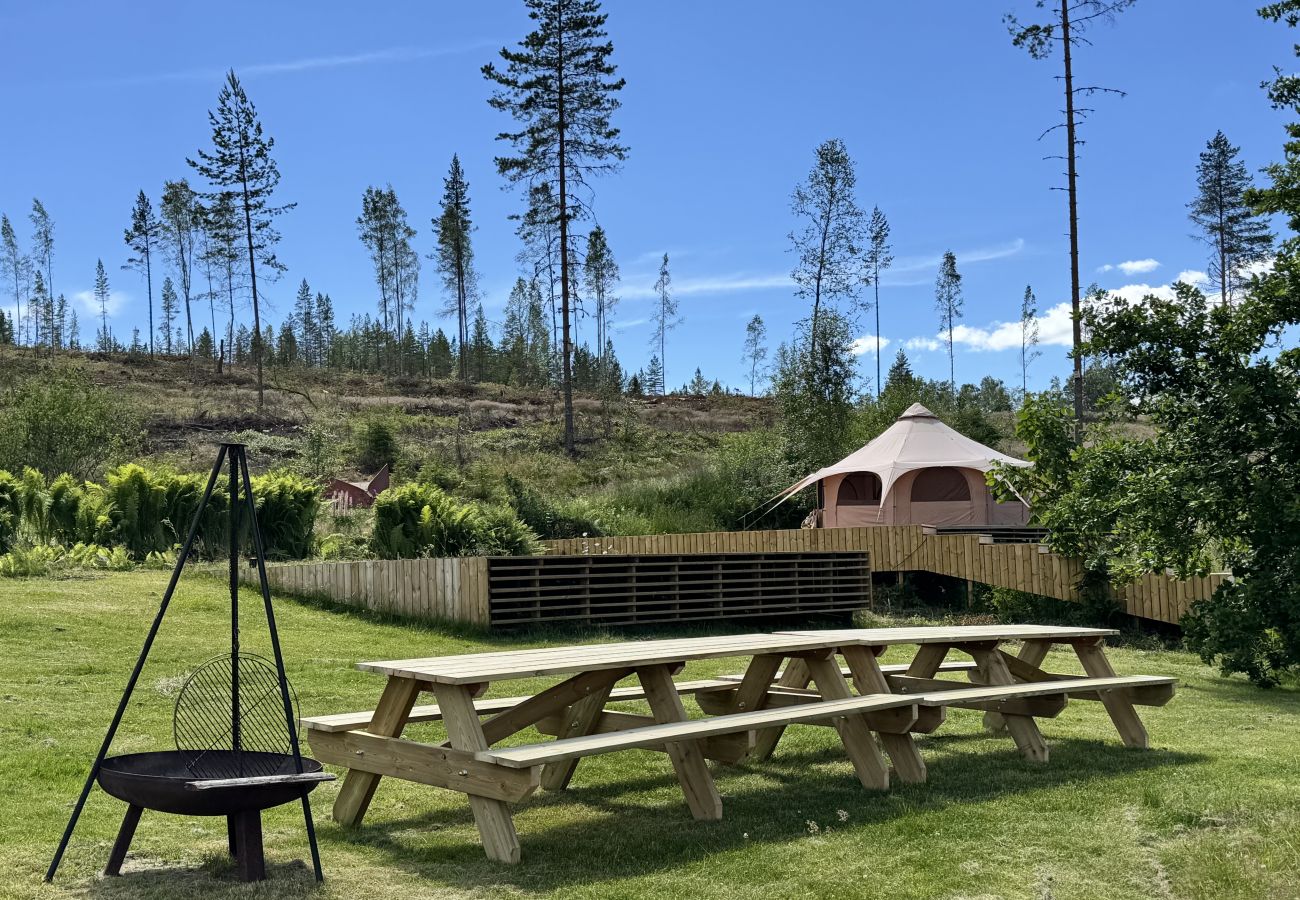 House in Hagfors - Holiday accommodation in the middle of the forest in an absolutely secluded location