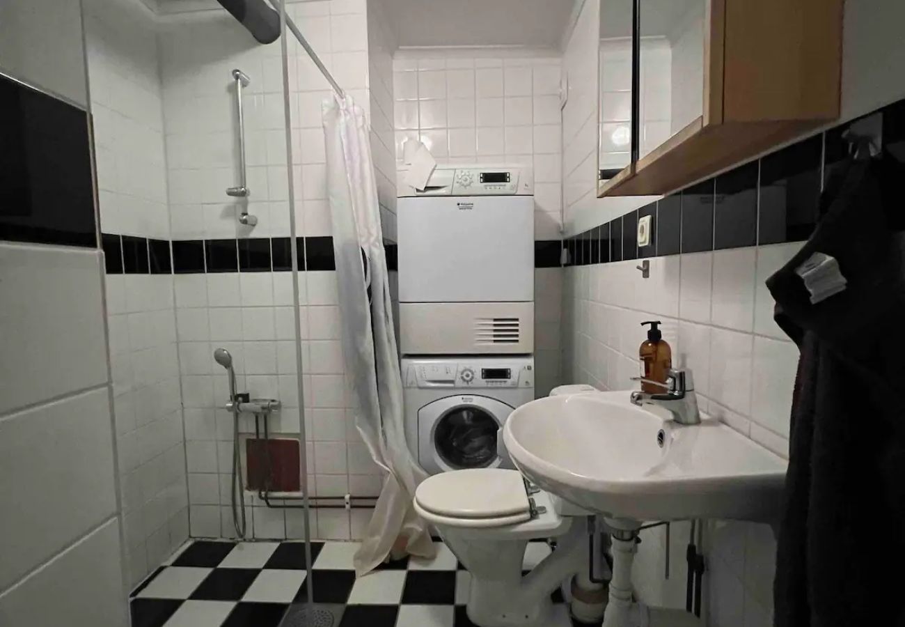 Apartment in Stockholm - Wonderful holiday apartment in the middle of Stockholm and 50 meters from the lake and swimming area