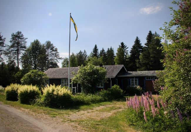  in Dorotea - Sjöläge Lappland