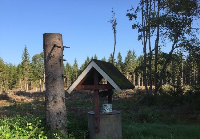 House in Hovmantorp - Deceleration In the deep forests of Småland House in Hovmantorp - Deceleration In the deep forests of Småland