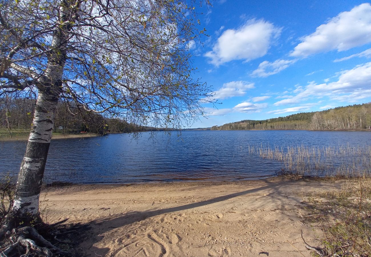 House in Karl Gustav - Viking cottage with lake view and fishing possibilities