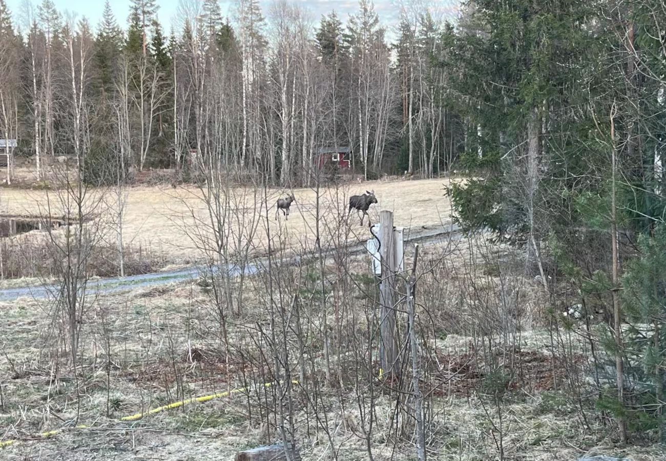House in Kopparberg - Two charmingly rustic holiday cabins on the edge of the forest in Bergslagen
