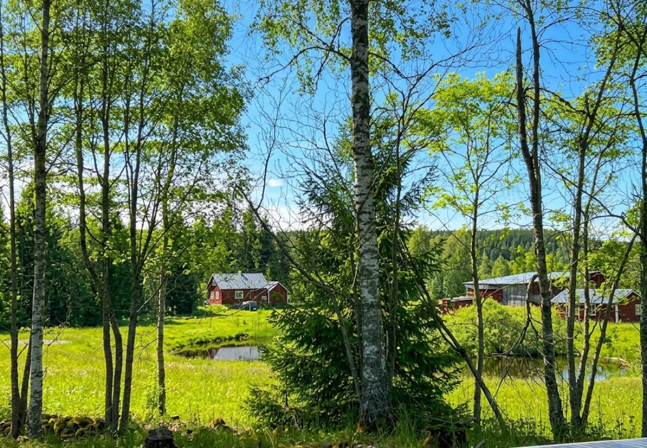 House in Kopparberg - Two charmingly rustic holiday cabins on the edge of the forest in Bergslagen