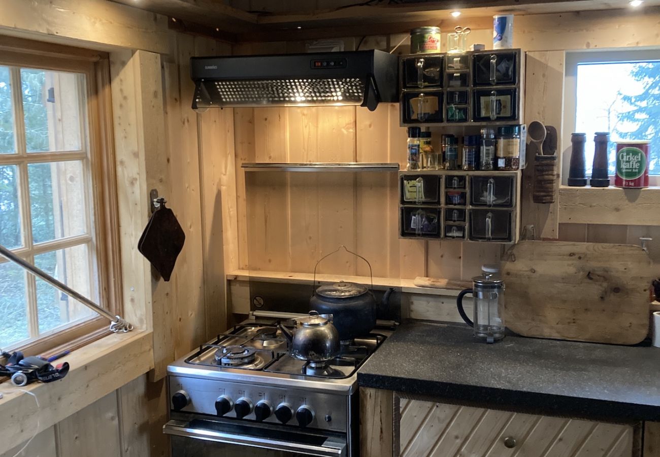 House in Gällö - Cozy log cabin on the lakeshore and in the middle of the forest