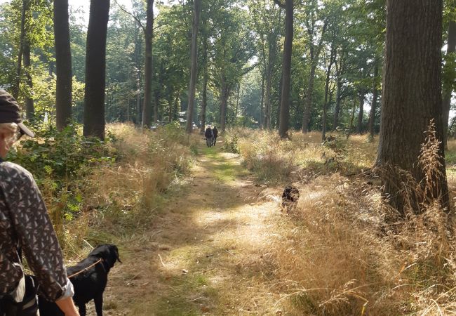 House in Kattarp - Large holiday accommodation in the countryside near Helsingborg House in Kattarp - Large holiday accommodation in the countryside near Helsingborg