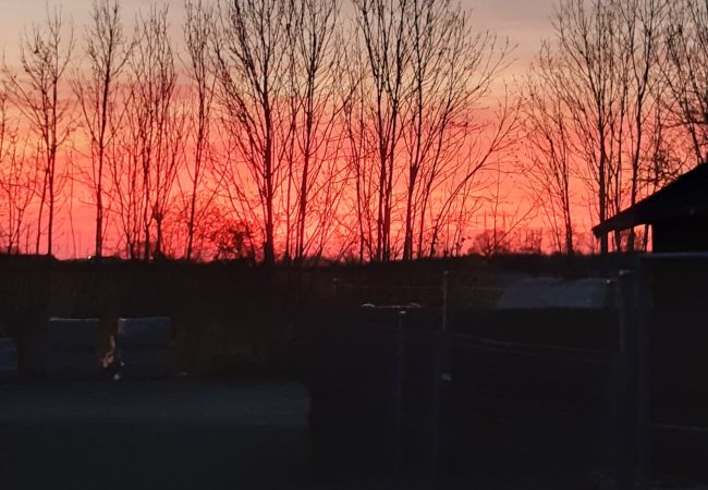 House in Kattarp - Large holiday accommodation in the countryside near Helsingborg House in Kattarp - Large holiday accommodation in the countryside near Helsingborg